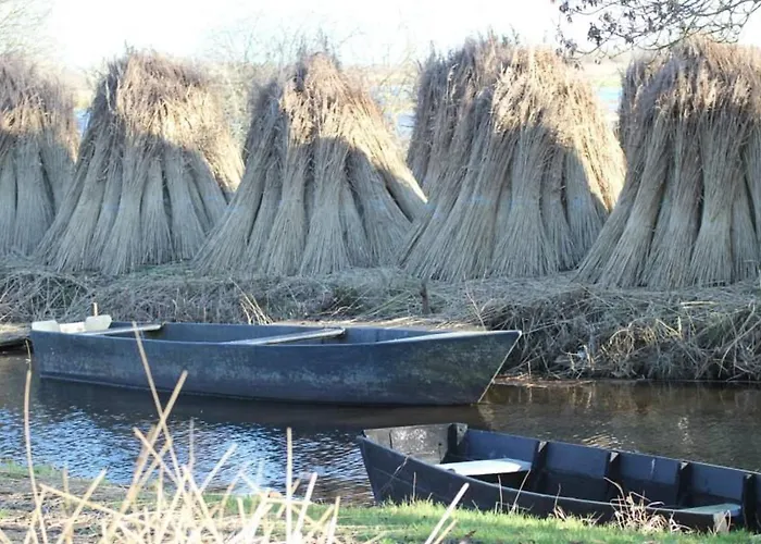 Rénové Avec Jardin Privé, Proche De La Baule Et Guérande, Idéal Pour 4 Personnes. - Fr-1-306-1163 Hébergement de vacances Saint-Lyphard