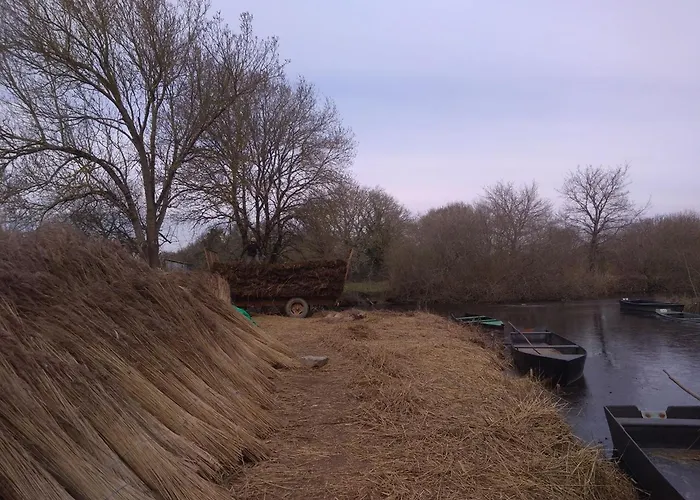 Rénové Avec Jardin Privé, Proche De La Baule Et Guérande, Idéal Pour 4 Personnes. - Fr-1-306-1163 *